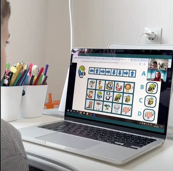 A boy completing an object classification task